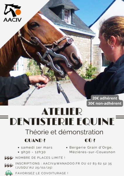 Atelier dentisterie équine @ Grain d'Orge Gahard